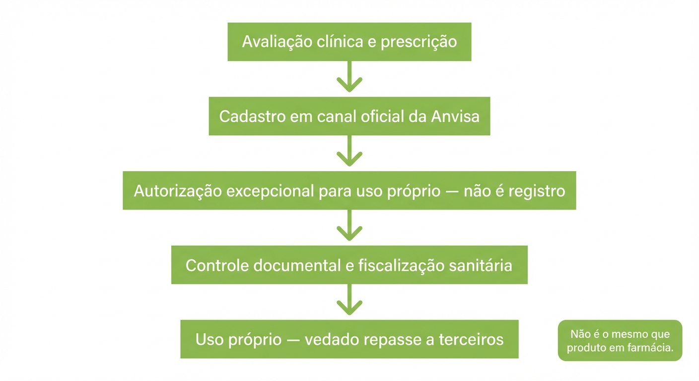 Fluxograma: “Importação excepcional (alto nível, sem passo a passo indevido)”
