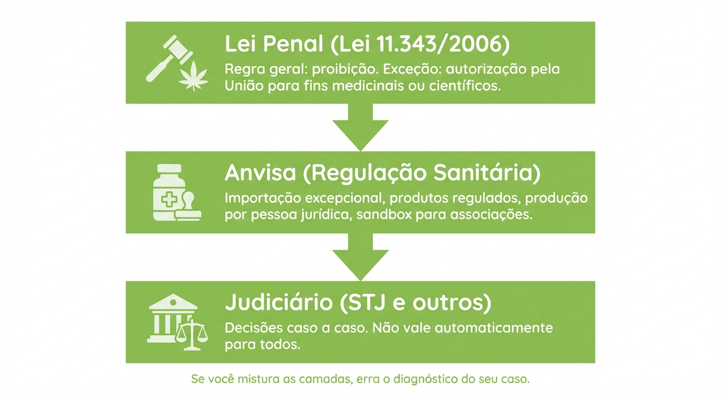 Infográfico regulamentação da cannabis: “3 camadas (Lei penal x Anvisa x Judiciário)”