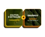 Combo Curso de Cultivo Indoor Orgânico (avançado)