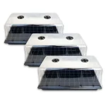 Estufa de Cultivo Propagator para Germinação e Clonagem (3 unidades)
