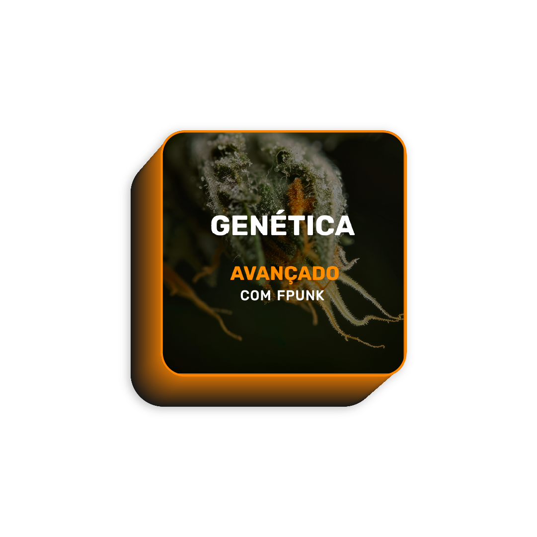 Rótulo do Curso de Genética, Breeding e Seleção com o rosto do Cadu no centro.