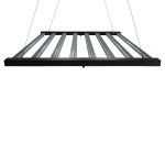 LED 800W STAR (12 a 22 plantas) - Imagem 8