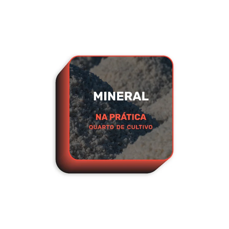 Rótulo do Curso de Cultivo Indoor Mineral em Quarto Automatizado com o rosto do Cadu no centro.