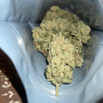 Saco de Armazenamento Grove Bag 7g (kit com 5 unidades) - Imagem 4