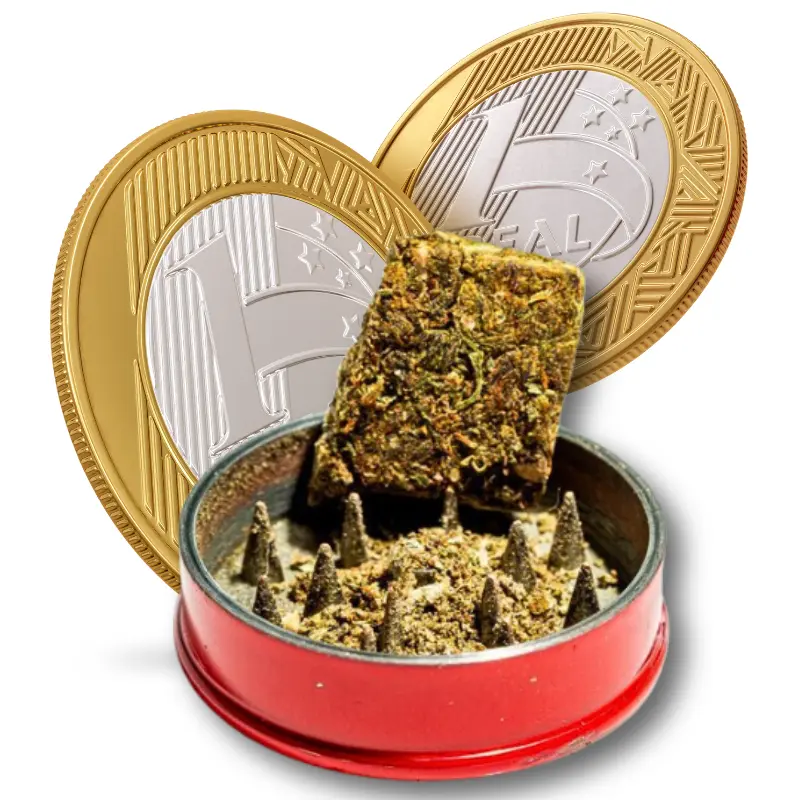 O que é Prensado de Maconha? Um Guia Completo - Cultlight